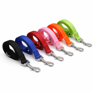Dog Leash