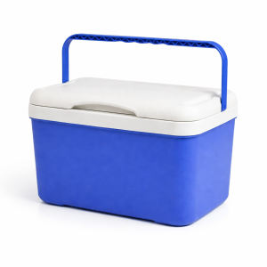 Plastic Cooler Box - 5L