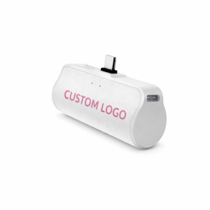 Wireless Power Bank