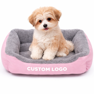 Dog Pet
